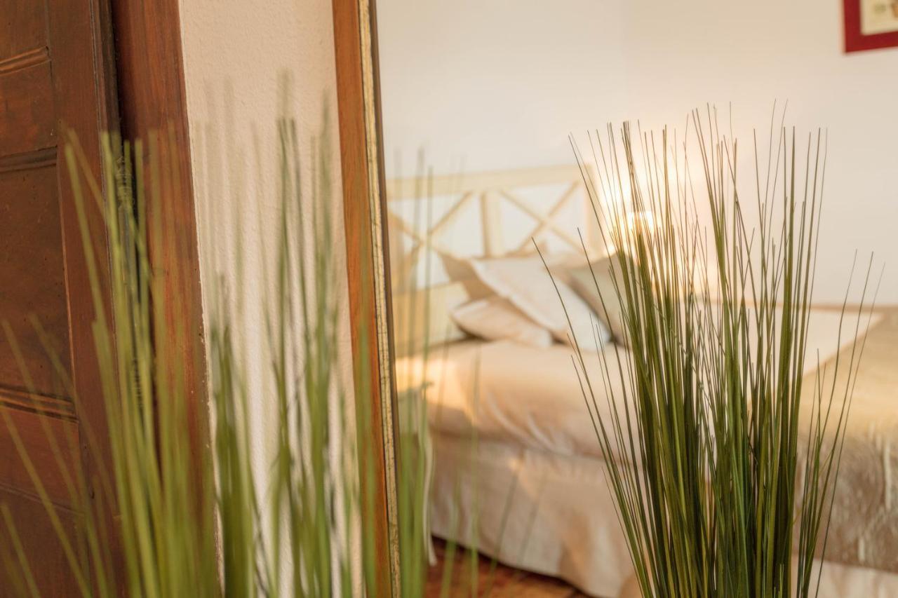 Logis Auberge Cote Jardin Hotel Lézignan-Corbières Eksteriør billede
